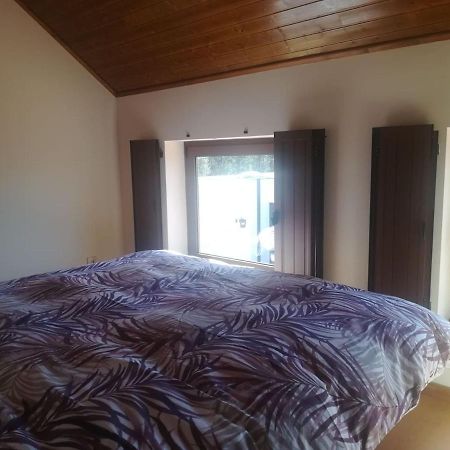 Apartament Beiral Da Marfida Amarante Zewnętrze zdjęcie